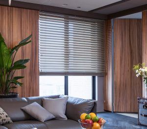 Horizontal Blinds