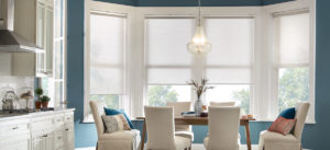 Roller Shades Orlando